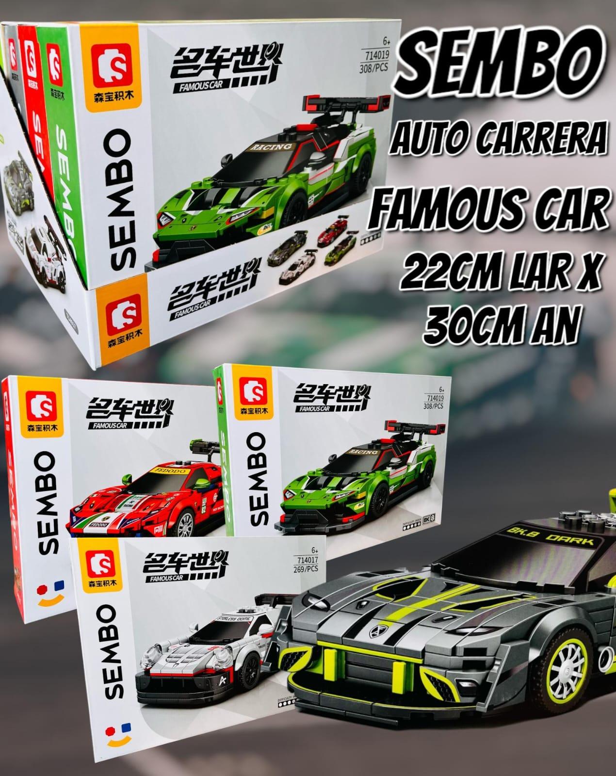 Sembo Auto de Carrera Famous Car